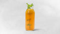 Hauslimonade 0,5 L